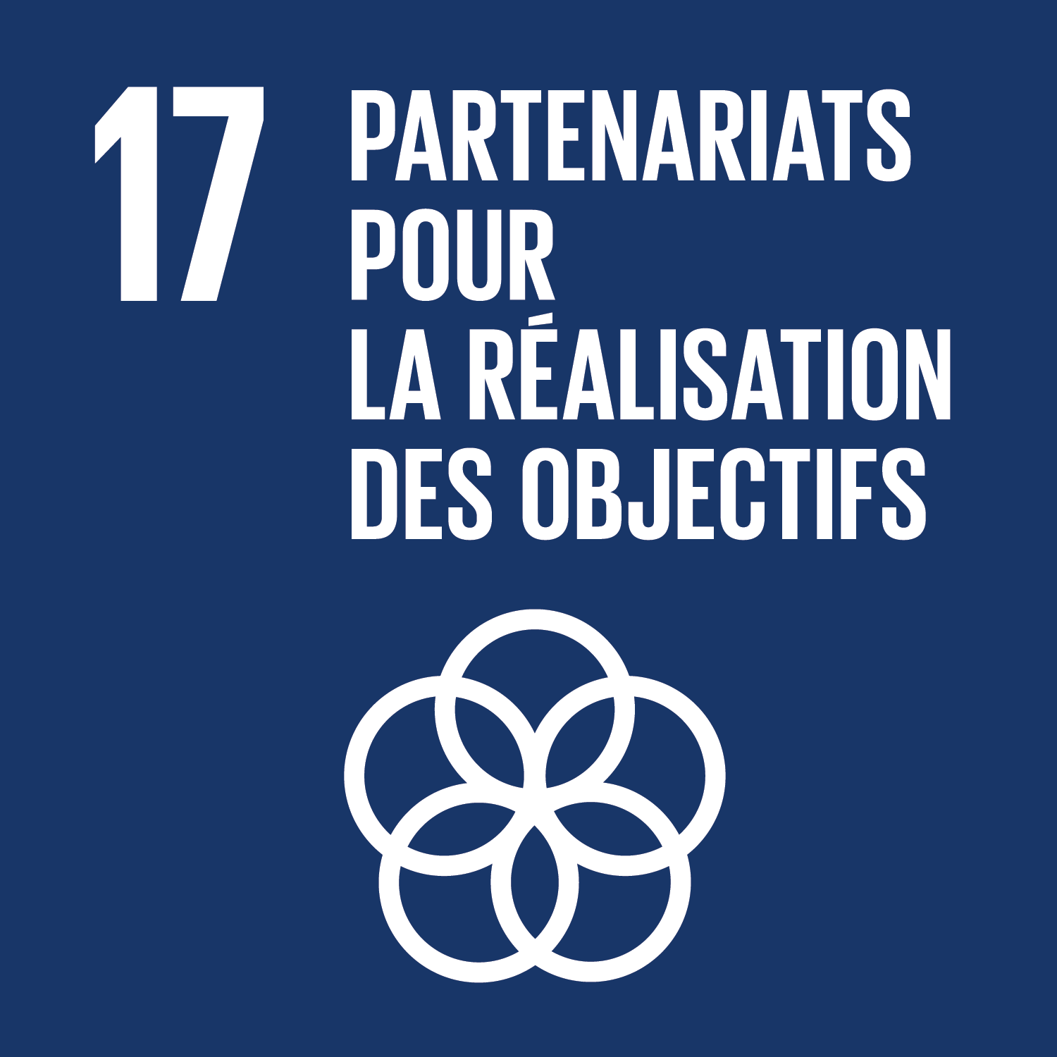 ODD 17 : Partenariats pour la réalisation des objectifs