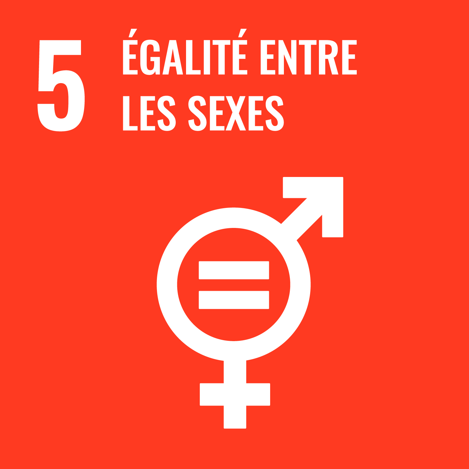 ODD 5 : Egalité des sexes